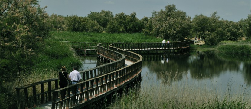 Tablas de Daimiel